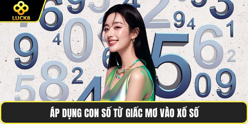 Áp dụng con số từ giấc mơ vào xổ số