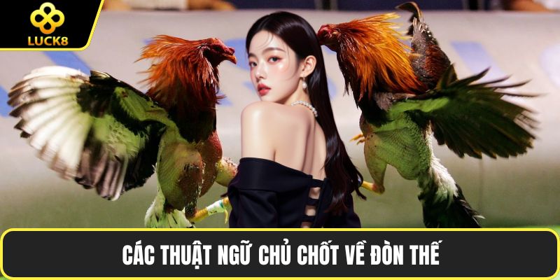 Các thuật ngữ chủ chốt về đòn thế