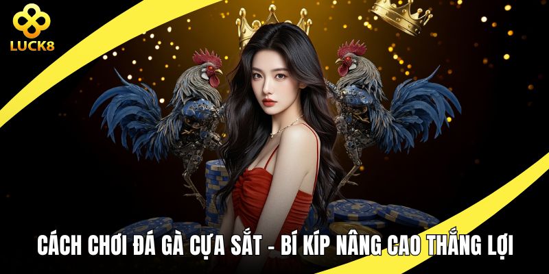 Cách chơi đá gà cựa sắt