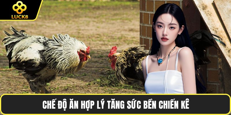 Chế độ ăn hợp lý tăng sức bền chiến kê