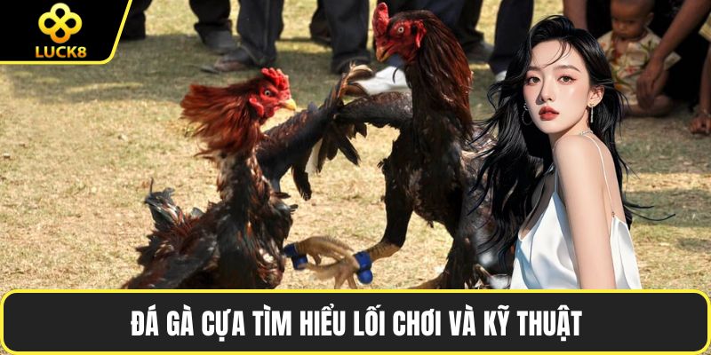 Đá gà cựa tìm hiểu lối chơi và kỹ thuật