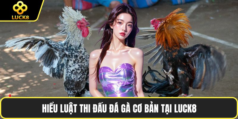 Hiểu luật thi đấu đá gà cơ bản tại LUCK8