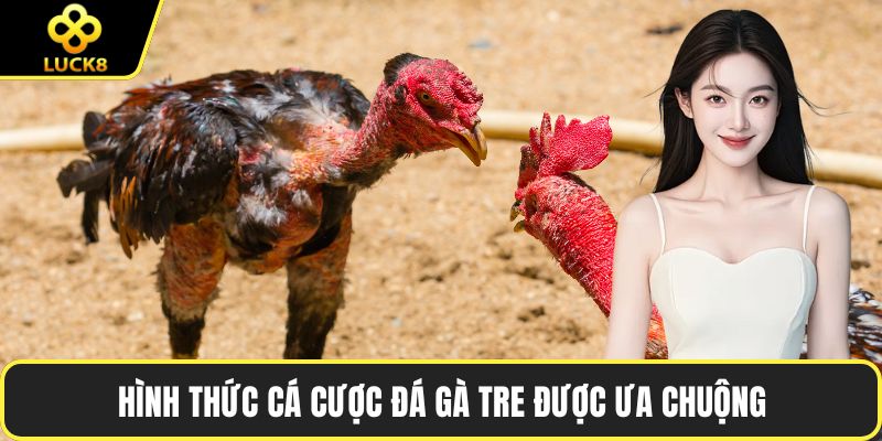 Hình thức cá cược đá gà tre được ưa chuộng