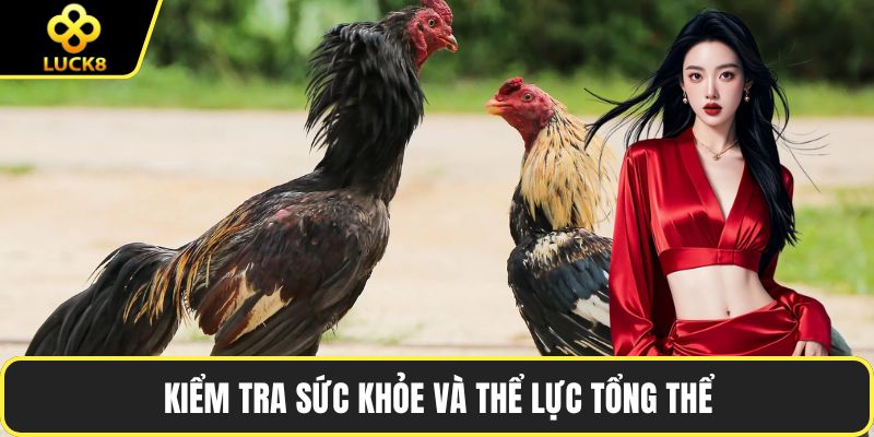 Kiểm tra sức khỏe và thể lực tổng thể