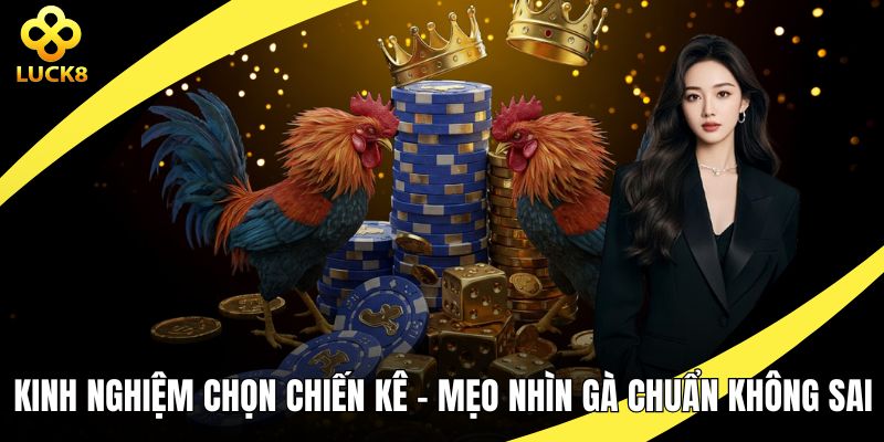 Kinh nghiệm chọn chiến kê