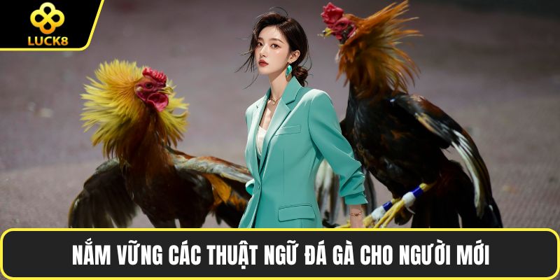 Nắm vững các thuật ngữ đá gà cho người mới