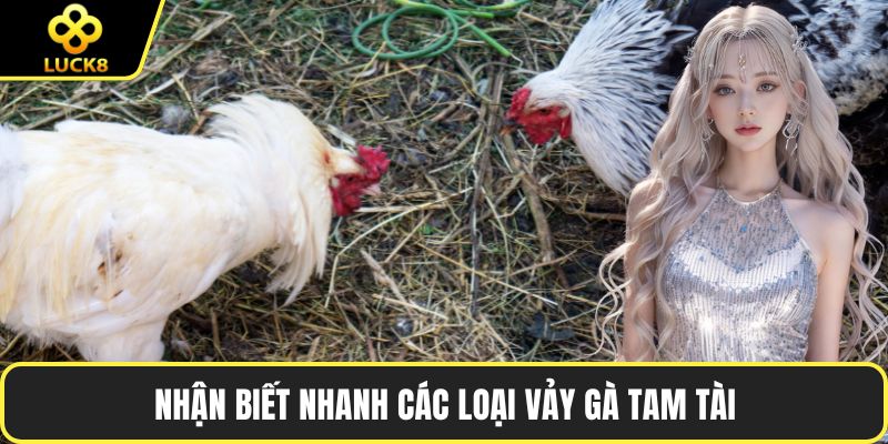 Nhận biết nhanh các loại vảy gà tam tài