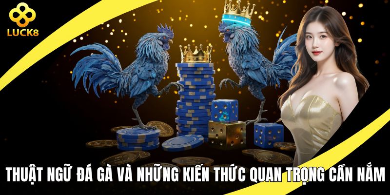 Thuật ngữ đá gà