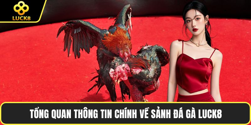Tổng quan thông tin chính về sảnh đá gà LUCK8